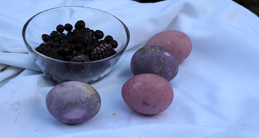 Neben einer Schale gefrorener Beeren liegen vier unterschidlich lila gefärbte Eier.