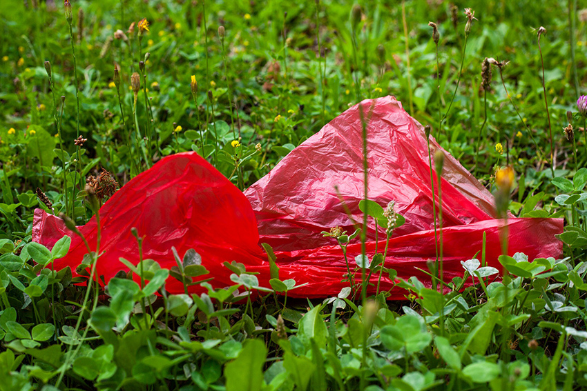 Eine rote Plastiktüte liegt in der Wiese.