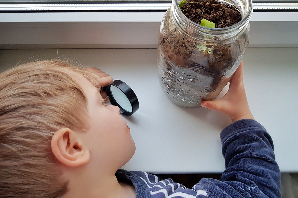 Kleiner Junge sitzt mit Lupe vor einem Einmachglas, das mit Erde gefüllt ist.