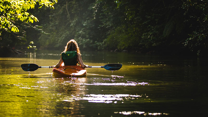 Auf dem Wasser vom Kajak aus die Natur erleben.