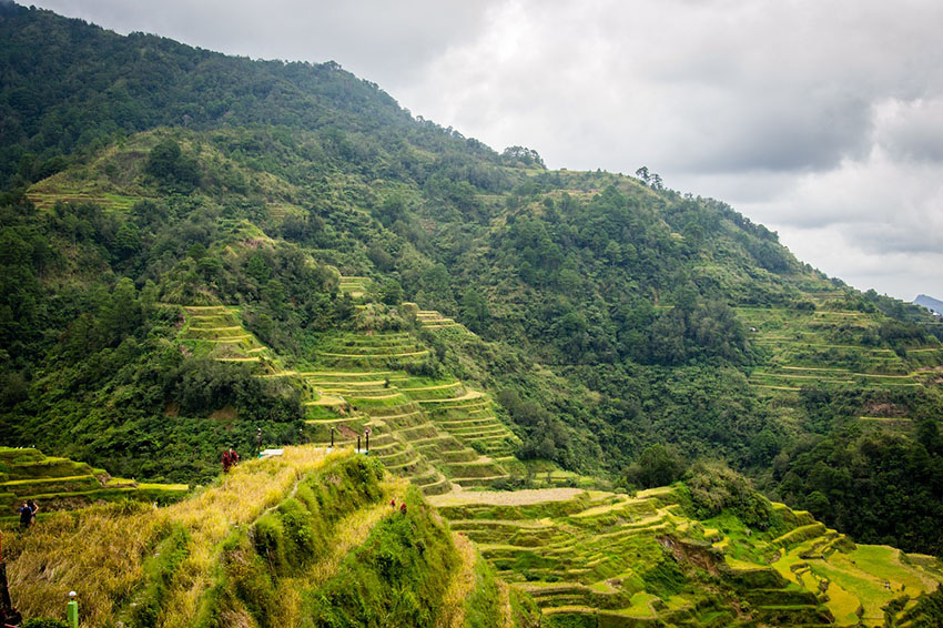 Reisterrassen von Banaue auf den Philippinen.