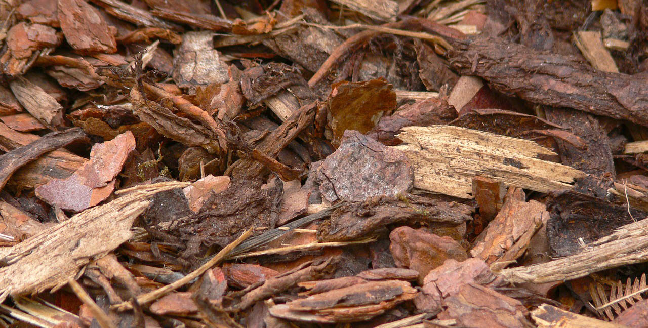 Nahaufnahme von Rindenmulch