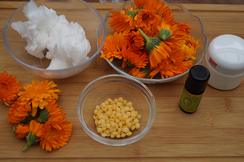 De ingrediënten voor de zelfgemaakte goudsbloemzalf staan in schaaltjes op een tafel.