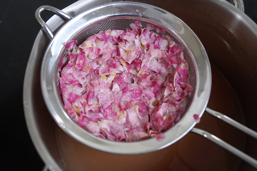 Rosenblätter einer Damaszener-Rose sammeln sich in einem Sieb, in dem Topf darunter ist das abgetropfte Rosenblüten-Gelee zu sehen.