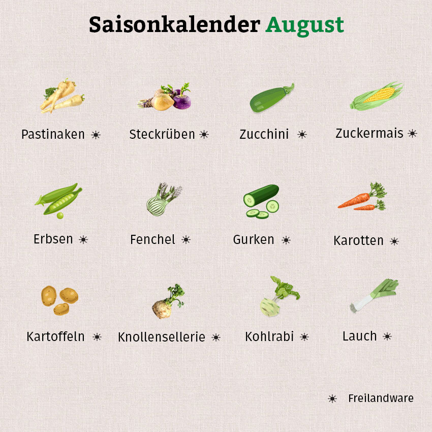 Im Saisonkalender August gibt es viel regionales Gemüse.