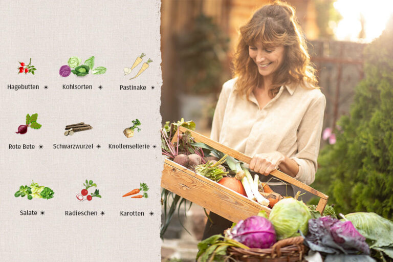 Links im Bild ist ein Ausschnitt des Saisonkalenders November zu sehen, rechts trägt eine Frau eine Kiste mit Gemüse.