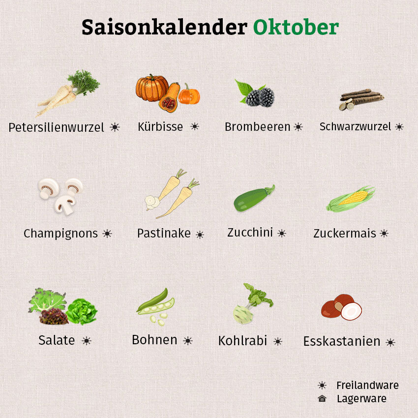 Im Saisonkalender Oktober gibt es Kürbisse, Esskastanien, Schwarzwurzel und Vieles mehr.