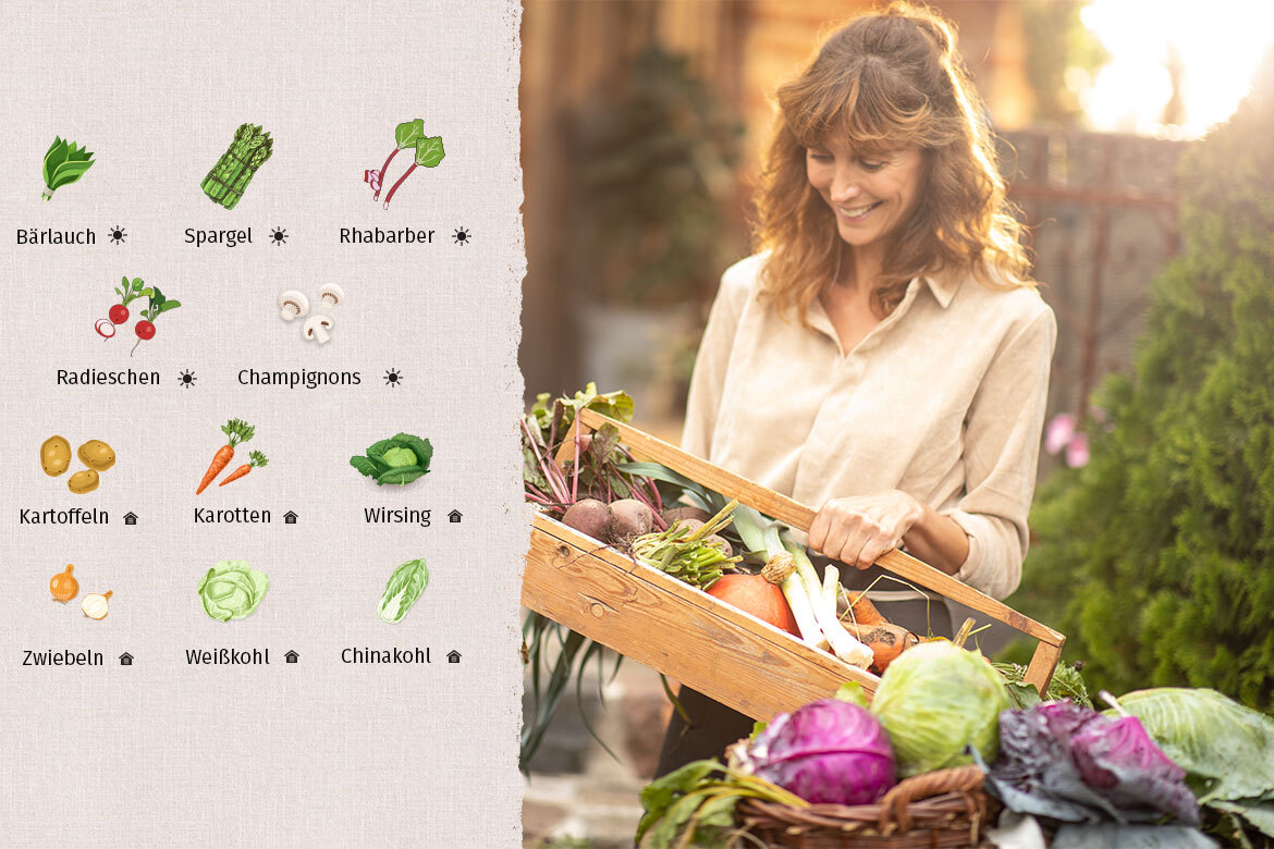 Der Saisonkalender April wird in der Grafik auf der linken Seite vorgestellt, rechts betrachtet eine Frau frisches Gemüse in ihrem Korb.