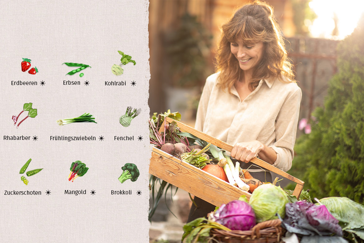 Der Saisonkalender Juni wird links im Bild angeschnitten, rechts trägt eine Frau Gemüse in einer Holzkiste.
