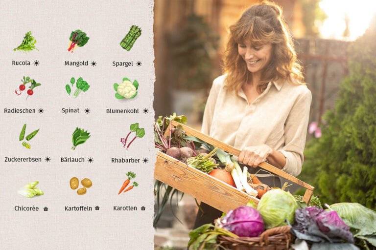 Der Saisonkalender Mai wird auf der linken Seite des Bildes teilweise gezeigt, rechts betrachtet eine Frau die Gemüseauswahl in ihrem Korb.