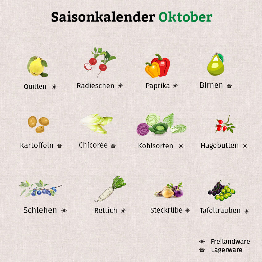 Auf dem Bild ist zu sehen, welches Obst und Gemüse im Oktober Saison hat.