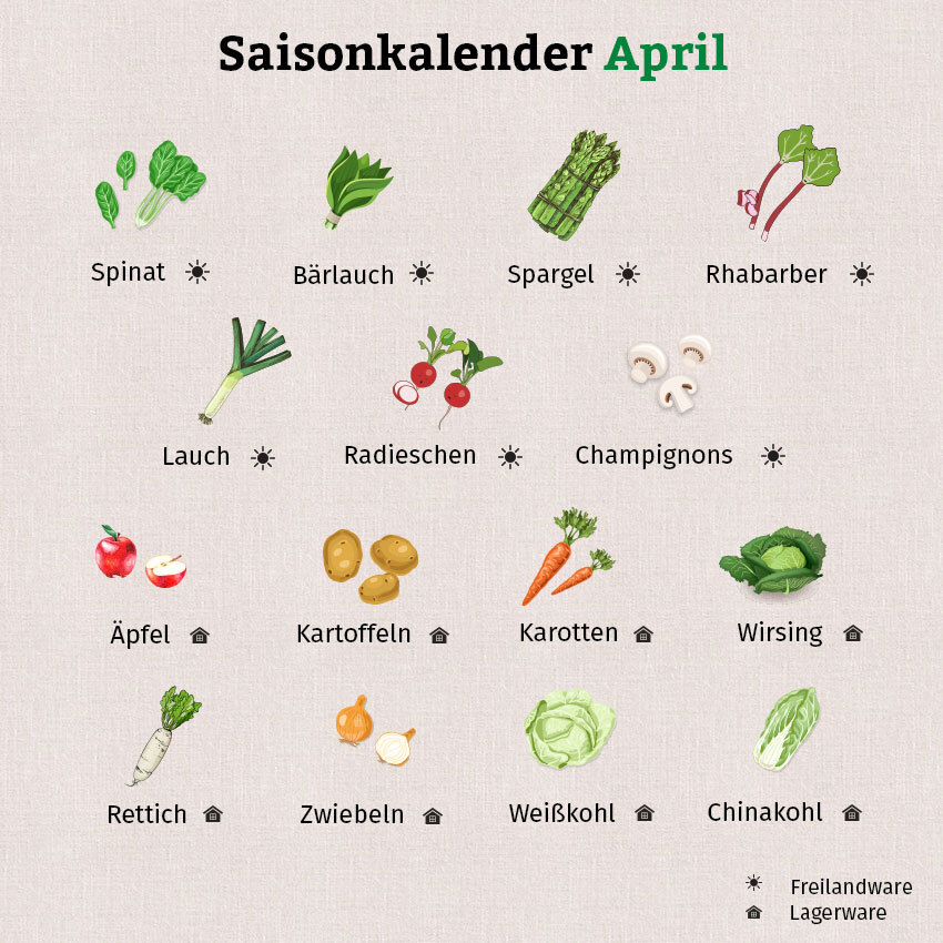 Die Grafik zum Saisonkalender April zeigt Obst und Gemüse aus Freilandanbau oder Lagerbestand.