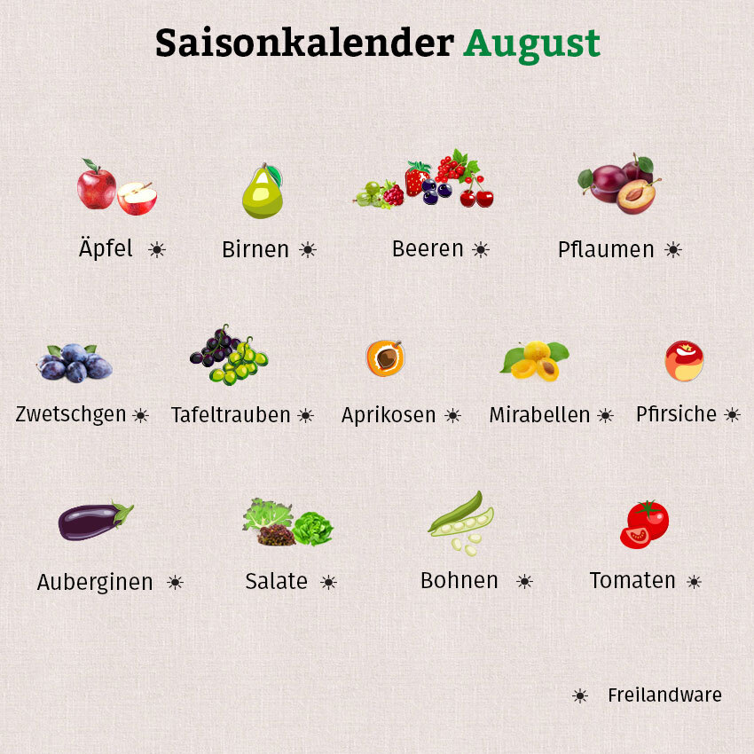 Die Grafik zeigt viele Obst- und Beerensorten aus dem Saisonkalender August.