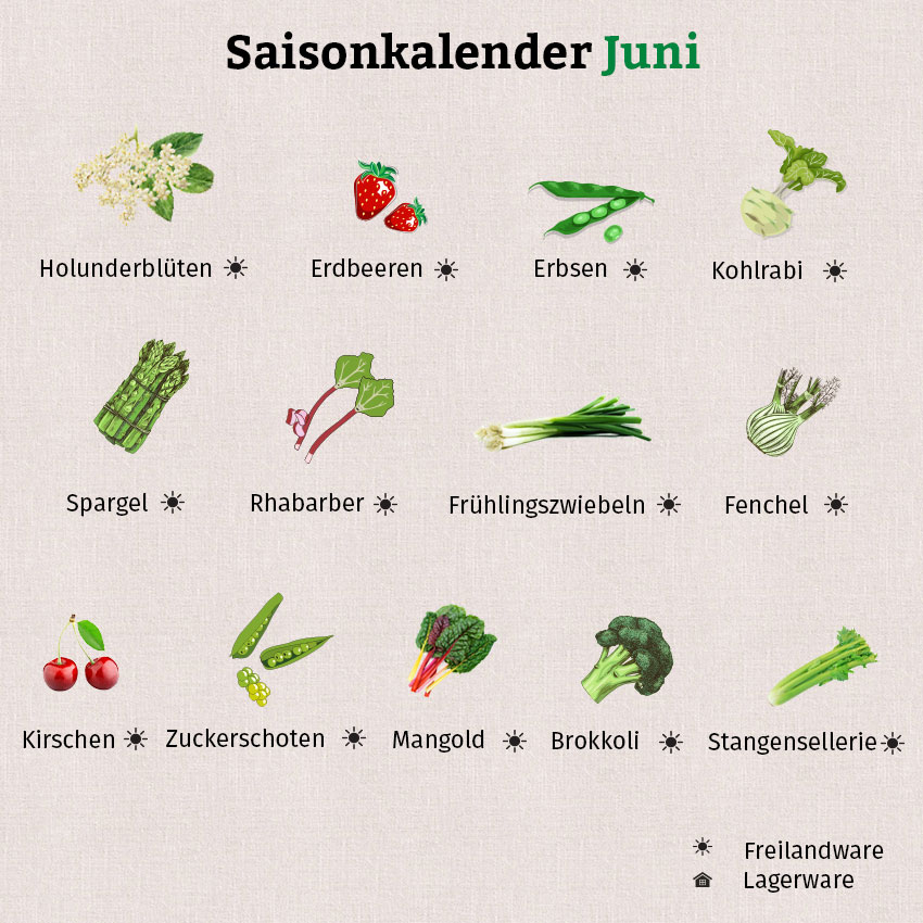 Im Juni kommen Erdbeeren endlich aus regionalem Freilandanbau.