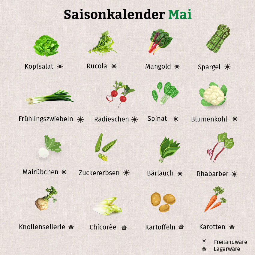 Die Grafik zeigt viele Gemüsesorten, die im Mai saisonal erhältlich sind.