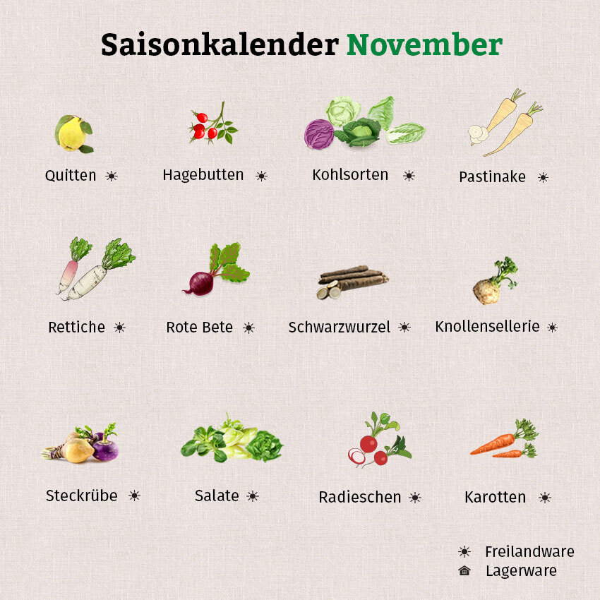 Die Grafik zeigt Obst und Gemüsesorten, die im Saisonkalender November enthalten sind.