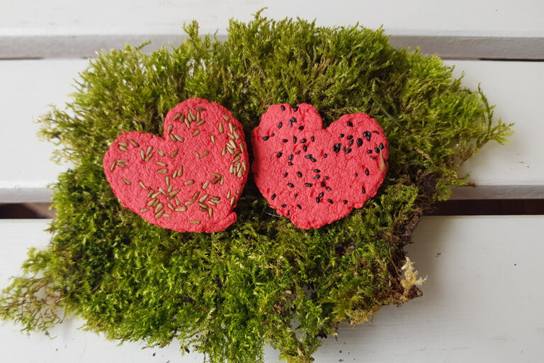 Zwei rote Herzen gespickt mit verschiedenen Samen liegen auf einem Stück Moos.