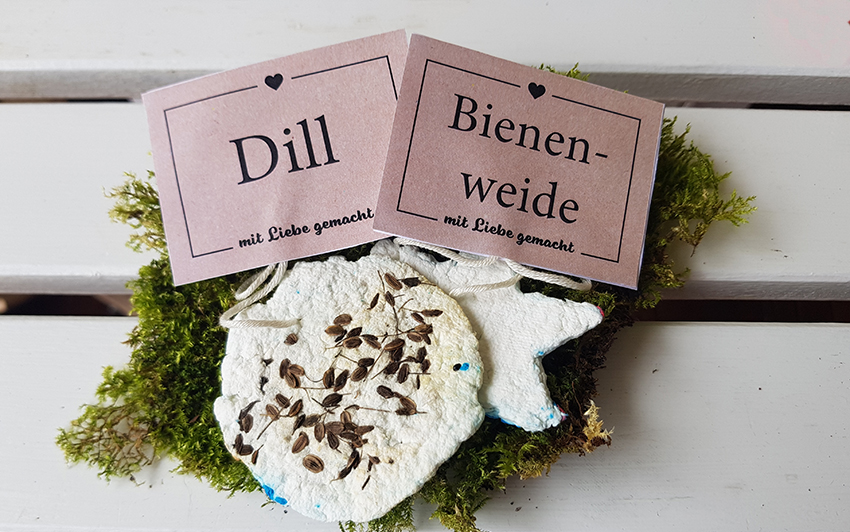 Zwei weiße Taler mit Beschriftung Dill und Bienenweide liegen auf einem Stück Moos.
