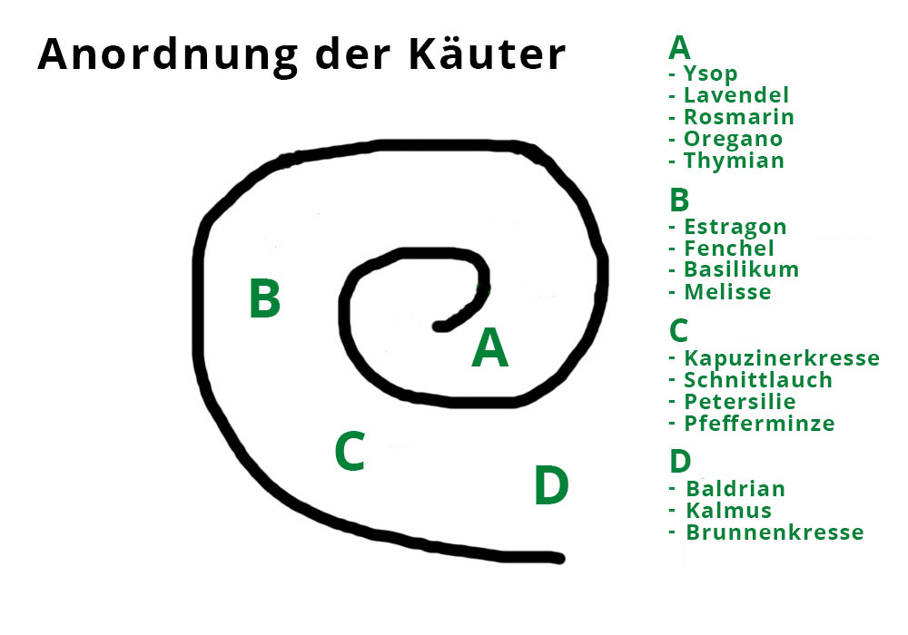 In 4 Bereiche gegliedert bietet das Schaubild einen Vorschlag zur Bepflanzung einer Kräuterspirale.