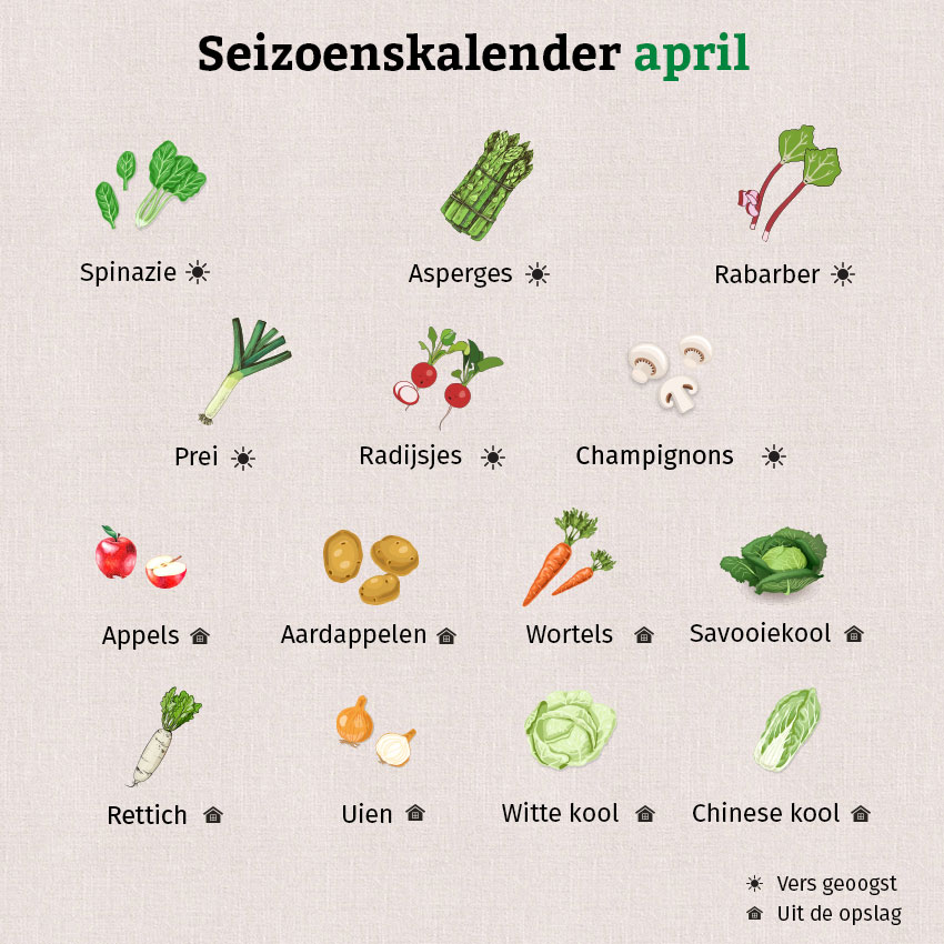 Op de seizoenskalender van april staan de groenten en het fruit die vers geoogst of uit de opslag worden aangeboden.