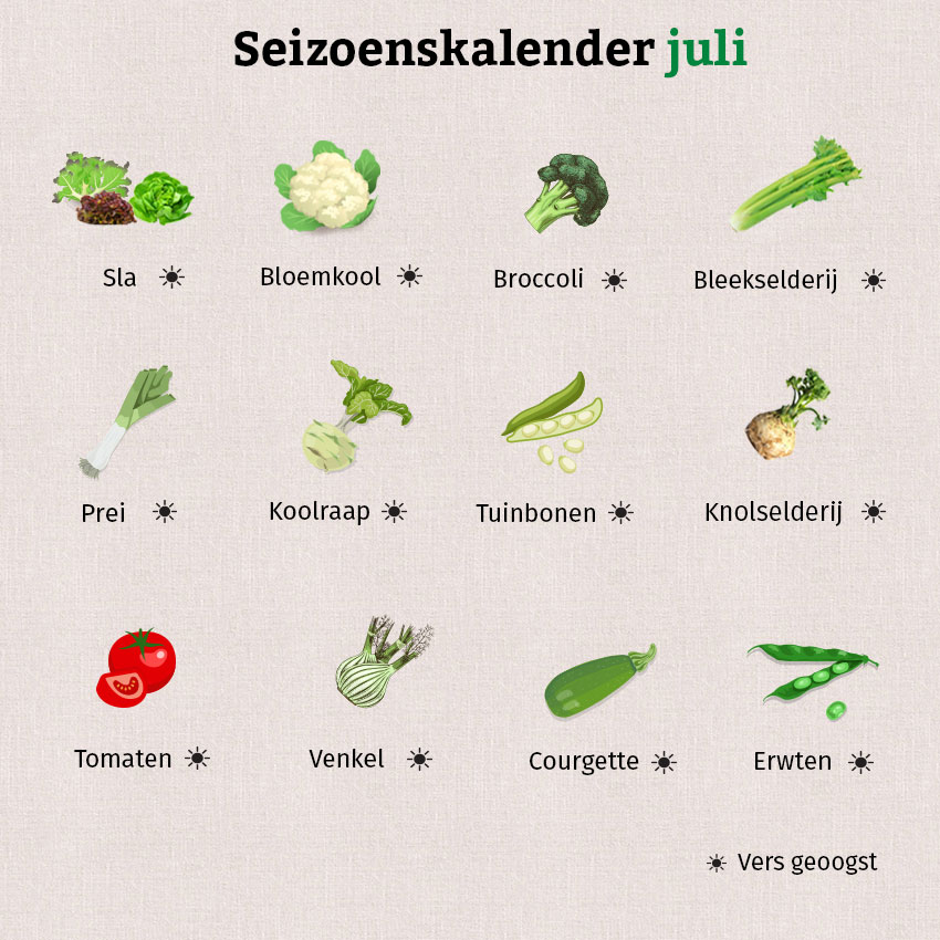 De grafiek laat zien welke groenten in juli beschikbaar zijn van de volle grond.