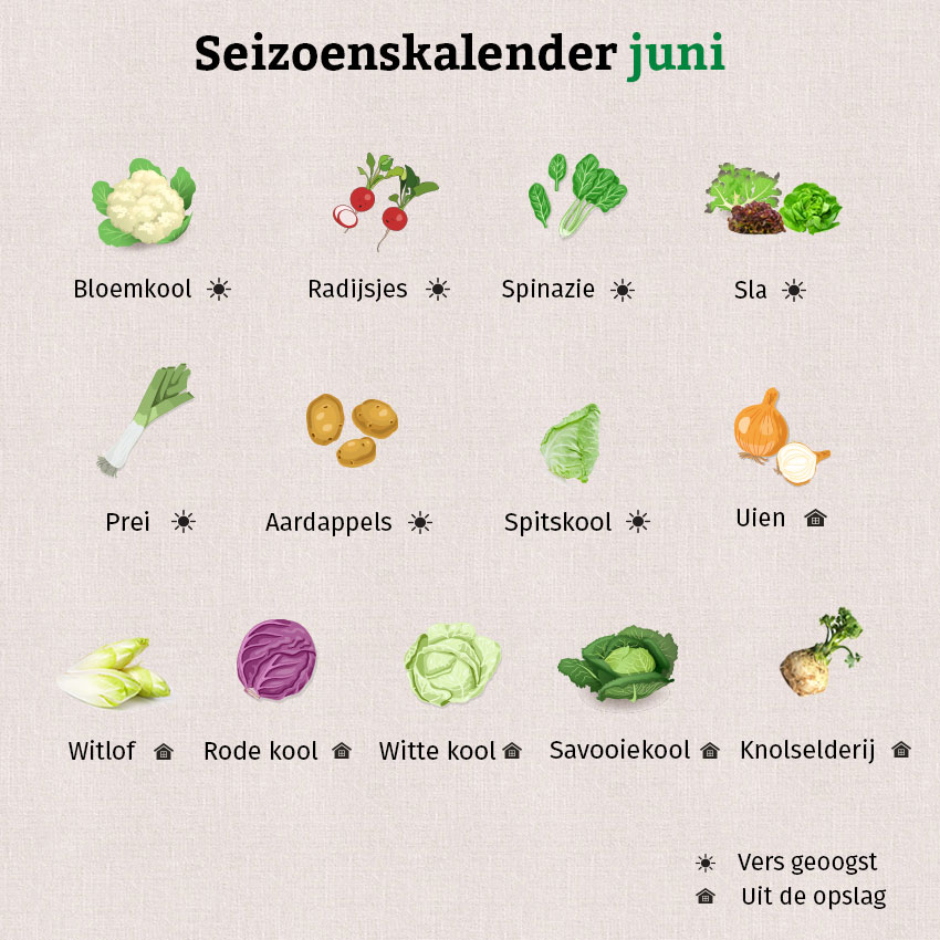 Het overzicht van de seizoenskalender van juni bevat een grote verscheidenheid aan groenten en fruit.