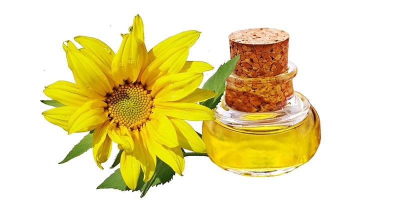 Eine Sonnenblume liegt neben ienem kleinen Ölfläschchen.