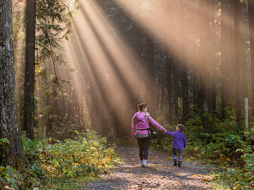 Eine Mutter spaziert mit ihrem Kind an der Hand und ihrem Baby vor der Brust durch den Wald, in dem die Sonne durch die Bäume scheint.