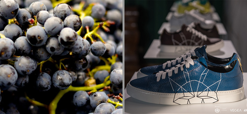 Links blaue Trauben, rechts ein Paar blaue Sneaker mit weißen Akzenten
