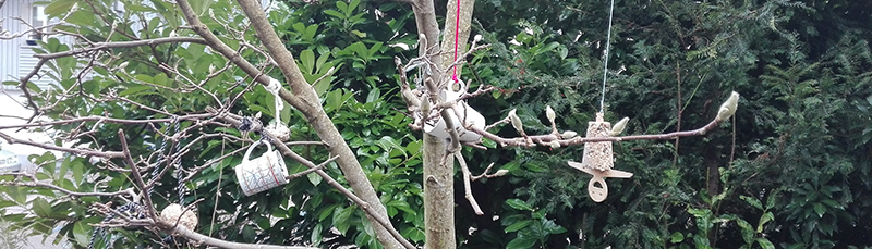 De verschillende eetgelegenheden voor vogels hangen in de boom.