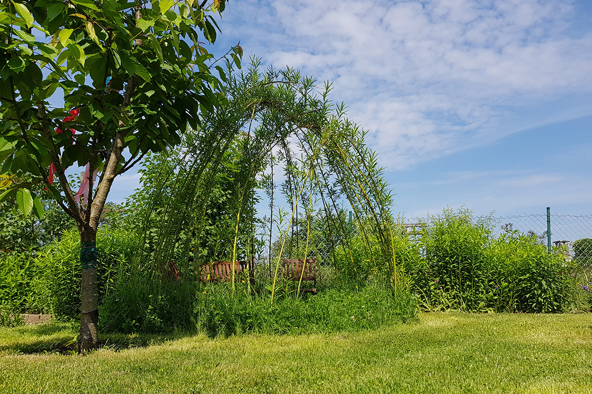 Vor dem hellblauen Himmel hebt sichdie Kuppel des Tipi ab.