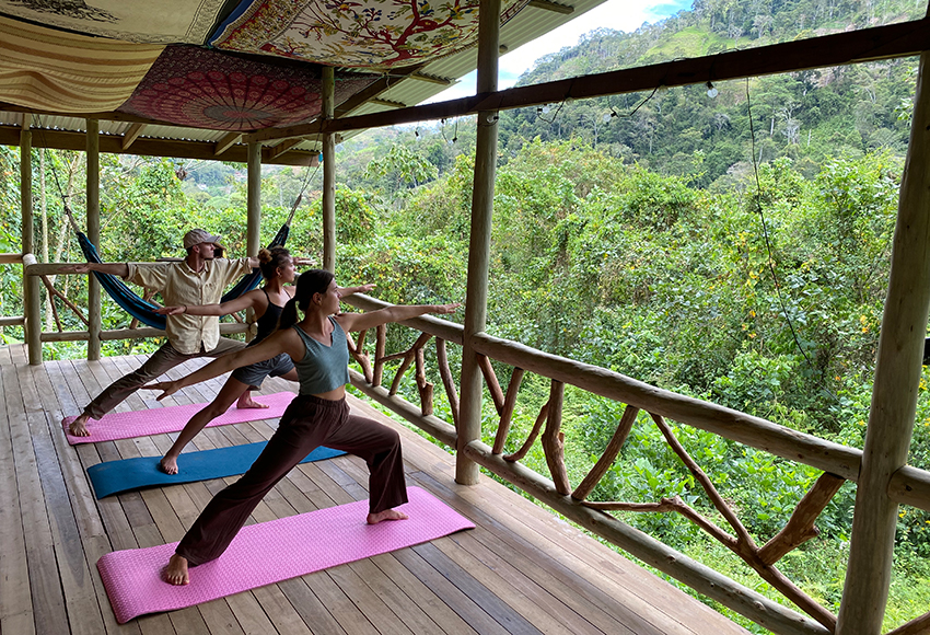 Auf einer überdachten Terasse im grünen Urwald machen drei Menschen Yoga.
