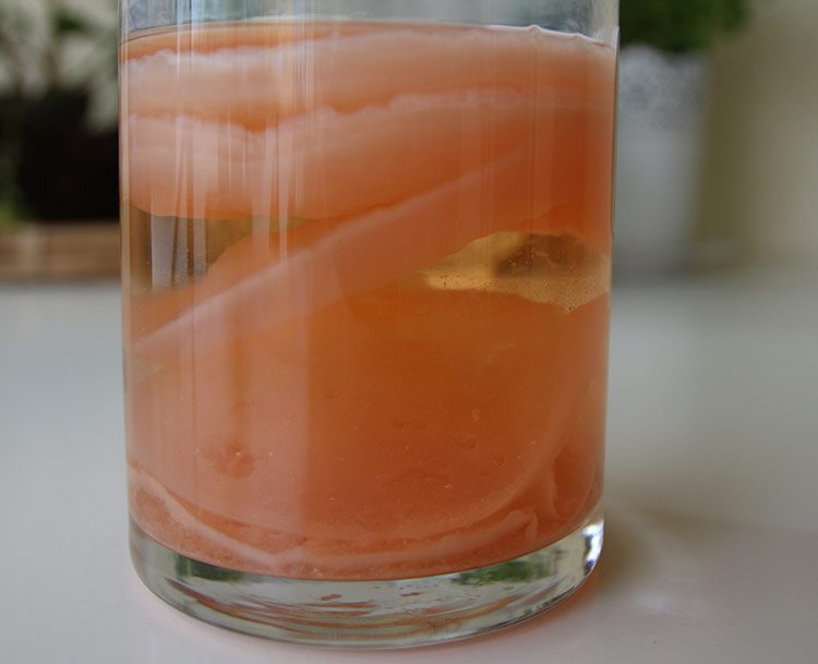 In dem Glas sieht man, dass sich in dem selbst gemachten Weinessig eine Essigmutter gebildet hat.