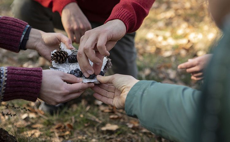 Eine Gruppe Menschen auf einem Ausflug für Wildnispädagogik isst gesammelte Beeren.