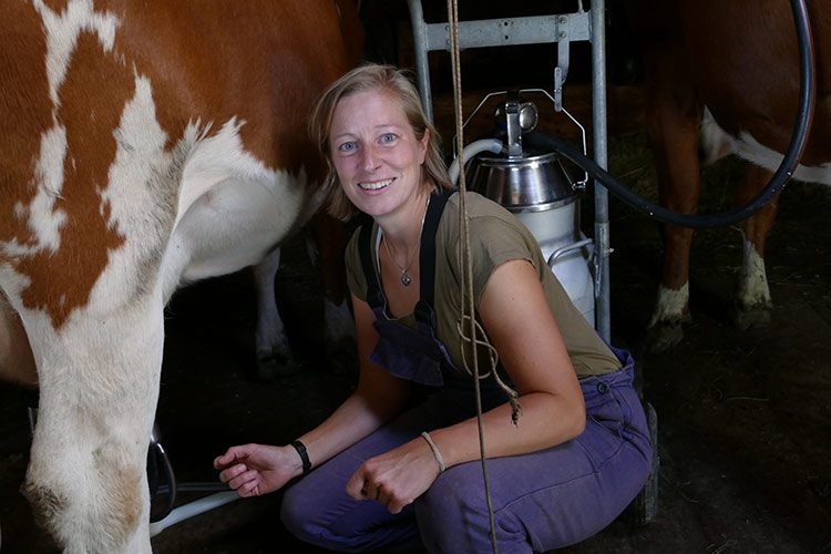 Katharina Afflerbach melkt eine Kuh.