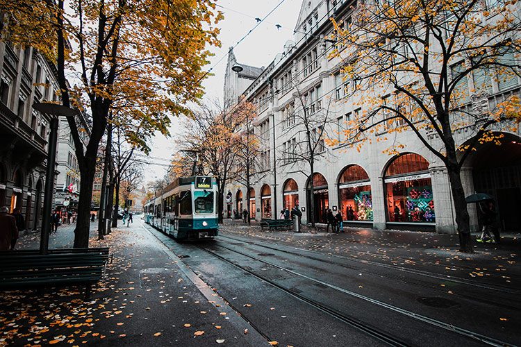 An den Rändern der Straße wachsen Bäume, in der Mitte der Straße fährt eine Straßenbahn.