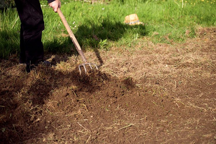 Die Erde im neu angelegten Gemüsebeet wird aufgelockert und mit einer Harke durchmischt.