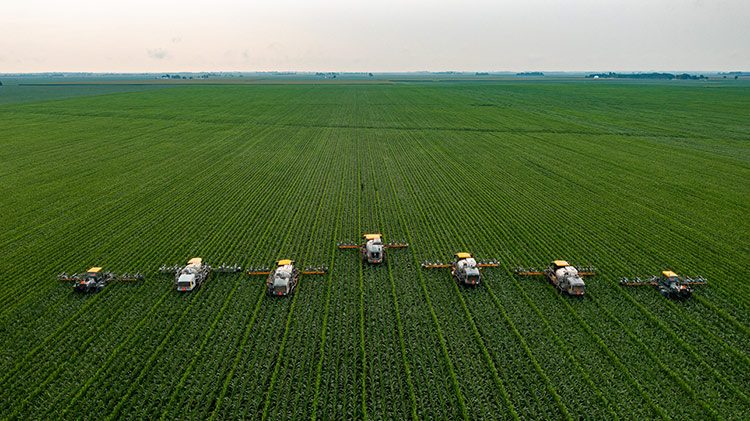 Mehrere Erntemaschinen fahren über eine riesige Futterplantage.