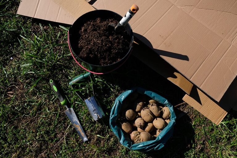 Die Materialien für das No-dig-Beet liegen auf einer Wiese.