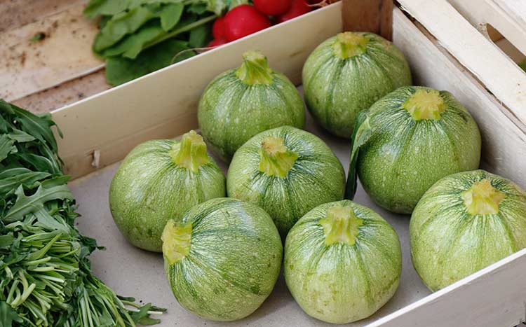 Verschillende ronde courgettes liggen in een houten kist met groenten.