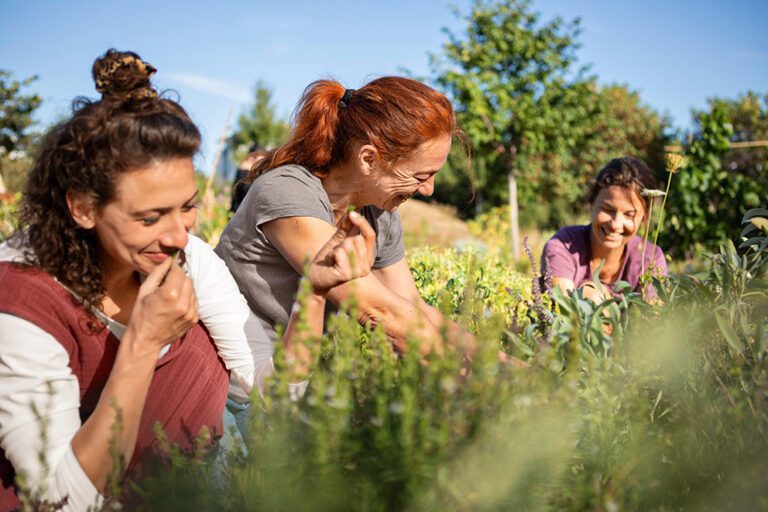 Drei Frauen sind beim gemeinsamen Gärtnern in einem Gemeinschaftsgarten zu sehen.