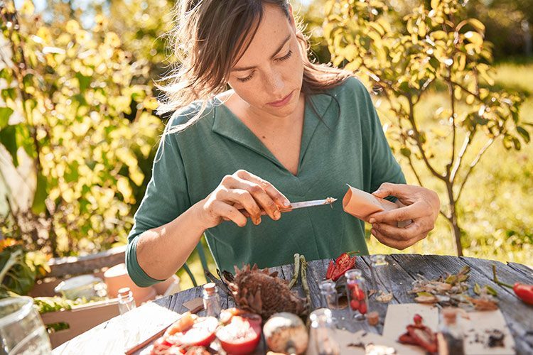 Saatgut wird nach der Ernte gesammelt und in ein Saattütchen gefüllt.