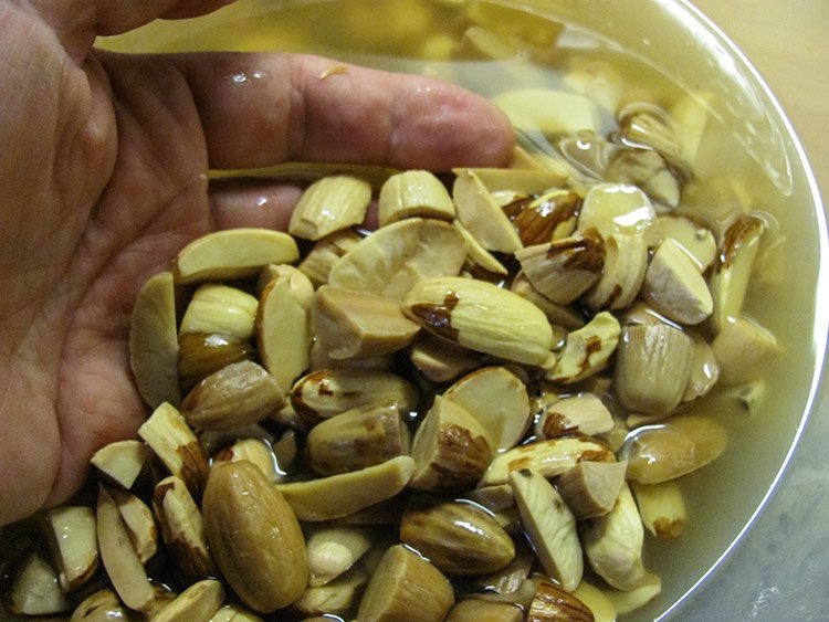 Eicheln werden in einer Schüssel mit Wasser gewaschen, um sie essbar zu machen.