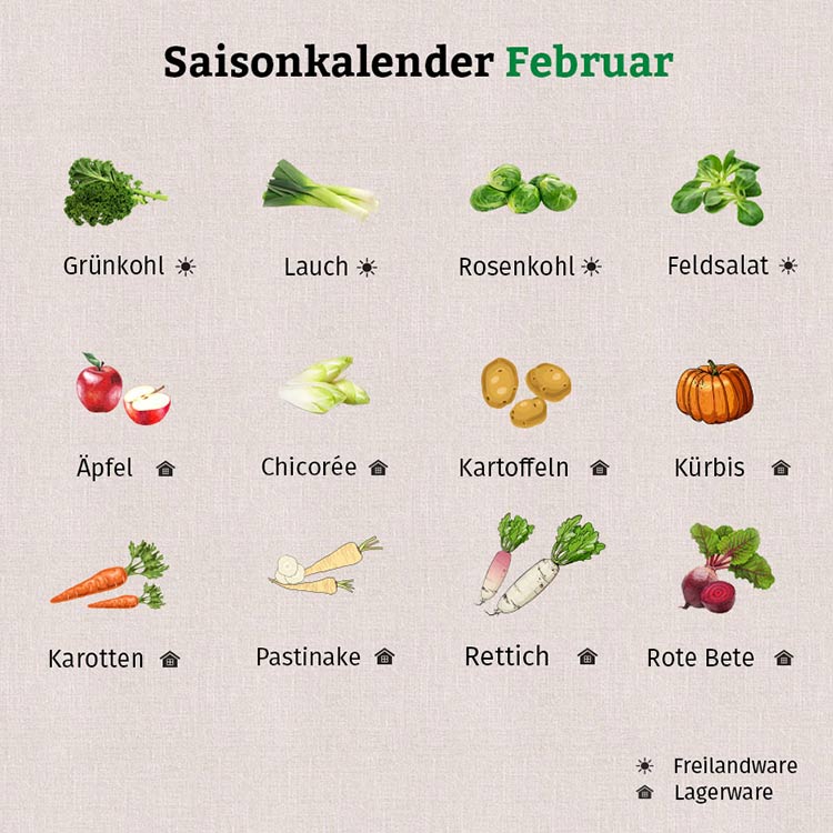 Die Grafik zeigt Freiland- und Lagerware im Saisonkalender Februar.