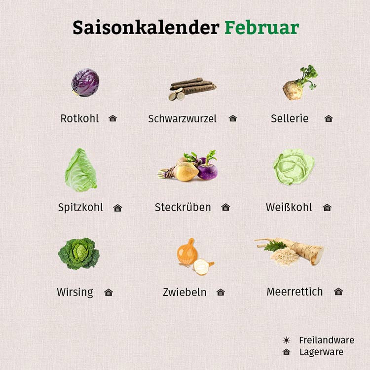 Der Saisonkalender hat viel Wintergemüse als Lagerware zu bieten.