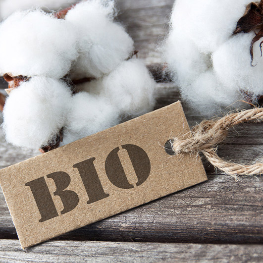Bio-Baumwolle — die ökologische Alternative zur herkömmlichen Baumwolle.