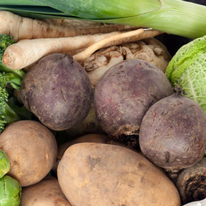 Bio Kartoffeln
