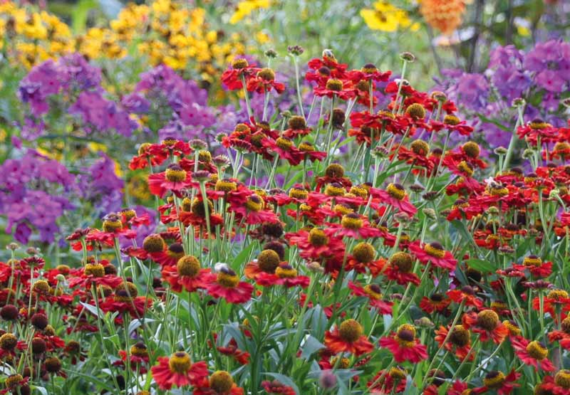 Garten & Co. | Gartenbedarf für Ihren Biogarten von Waschbär
