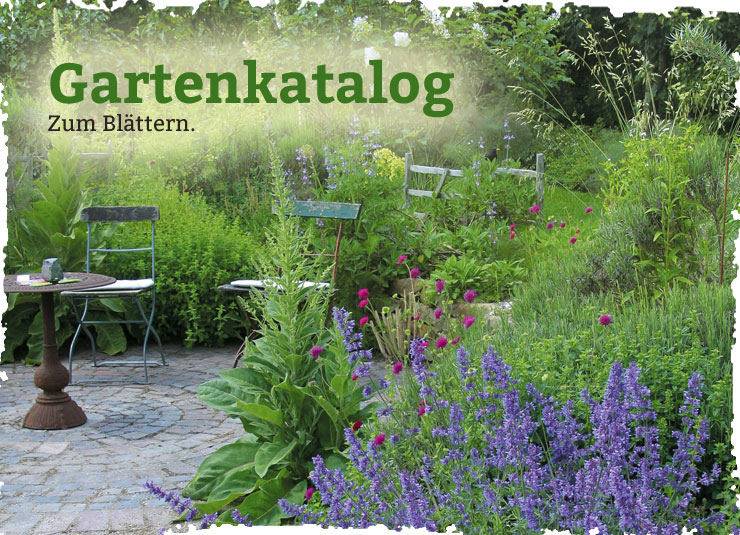 Garten & Co. Gartenbedarf für Ihren Biogarten von Waschbär