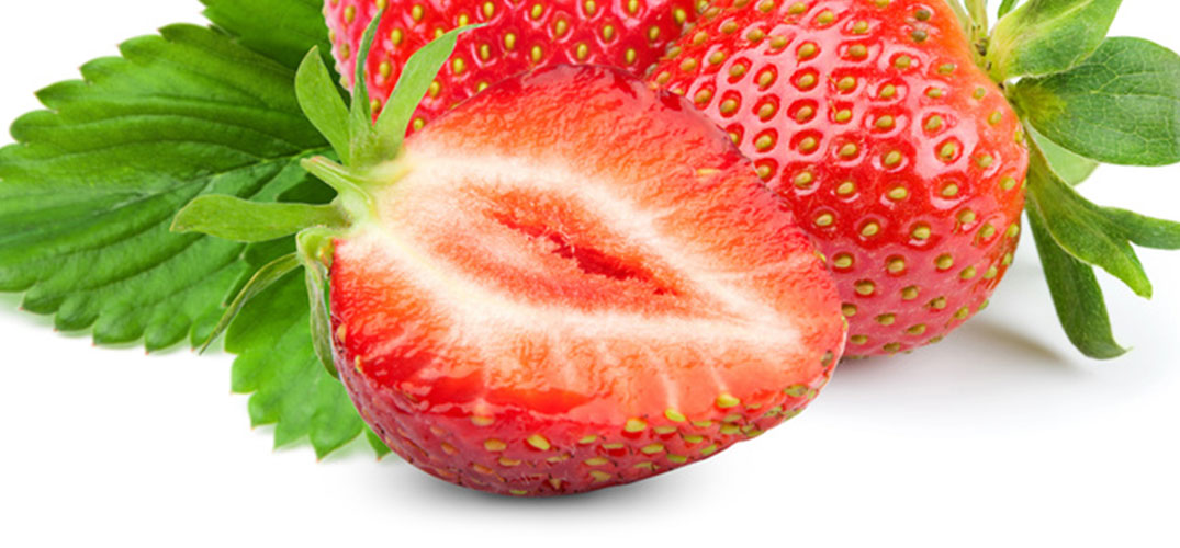 Beeren anpflanzen
